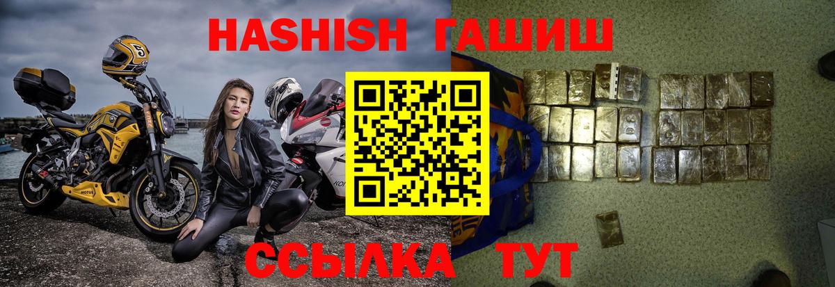 ГАШ гарик Губаха