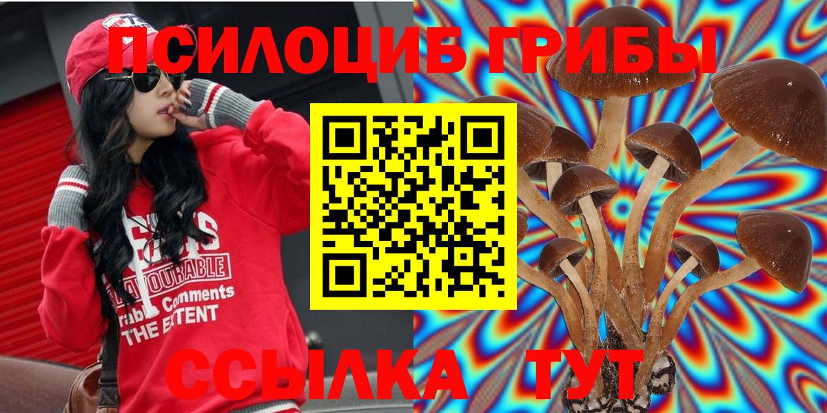 Псилоцибиновые грибы Psilocybine cubensis Губаха