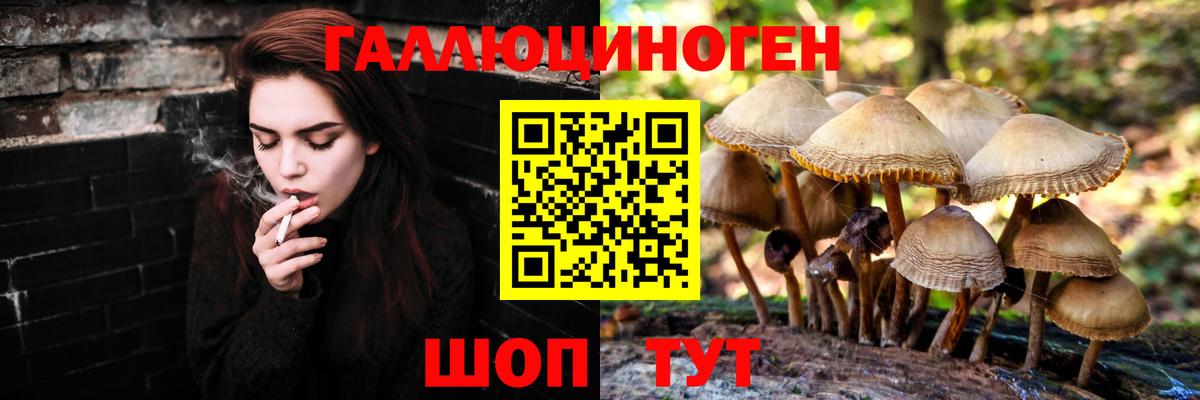 Губаха  Галлюциногенные грибы Cubensis  Вход с VPN  Галлюциногенные грибы Magic Shrooms 